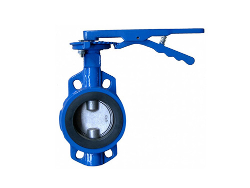 Butterfly valve with clamp