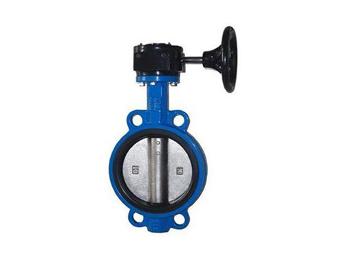Turbine clamp butterfly valve
