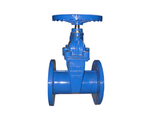 German standard ductile iron elastic seat sealing gate valve