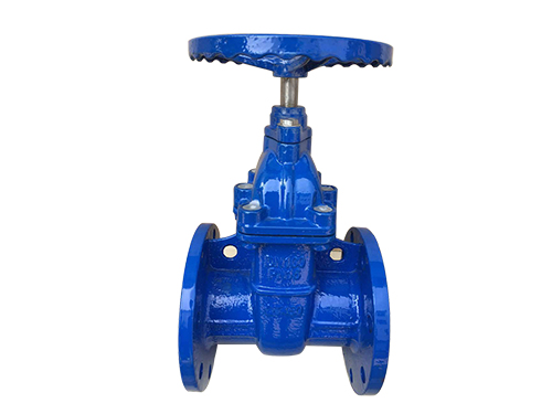 Hard sealed gate valve